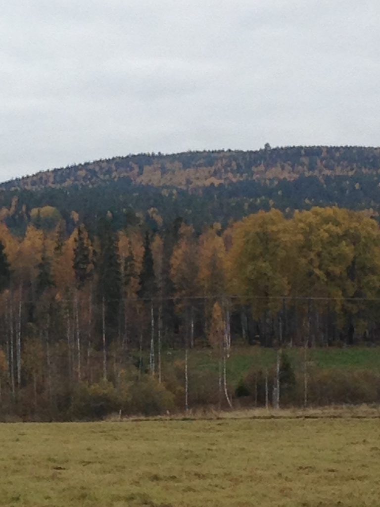 Vackra färger på Västerberget (Eller Söderberget som vissa kallar det)